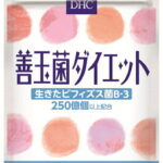 【ふるさと納税】DHC サプリメント 善玉菌ダイエット 30日分